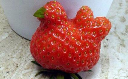Jolie fraise